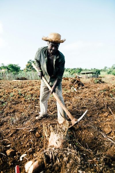 Al Rauda00025 - Al Rauda Group sustainable agriculture and agroforestry investment