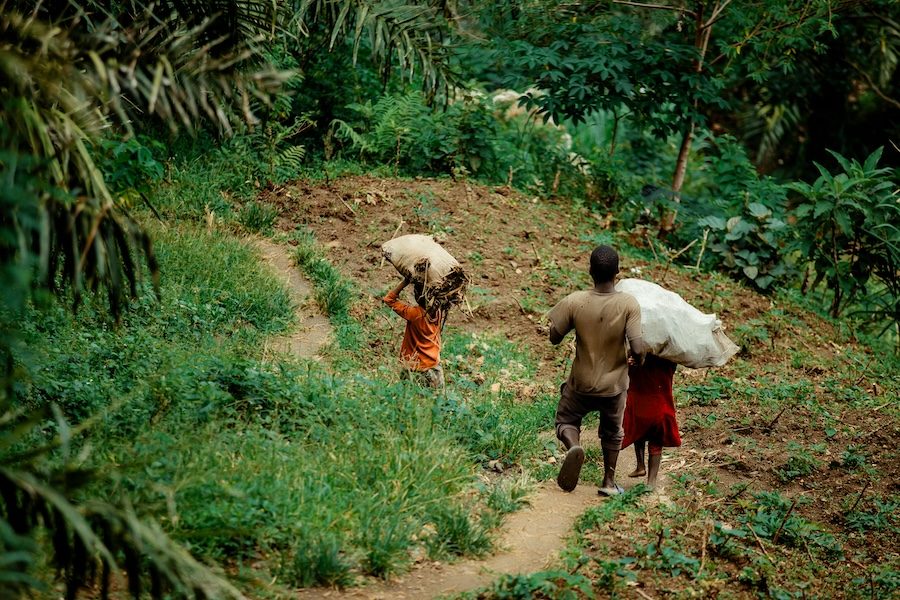 GET FiT Uganda: The Blended Finance Blueprint That Works